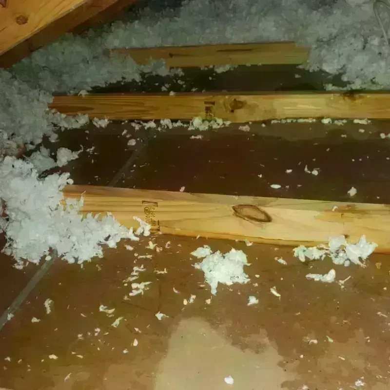 Attic Water Damage in Summerfield, NC