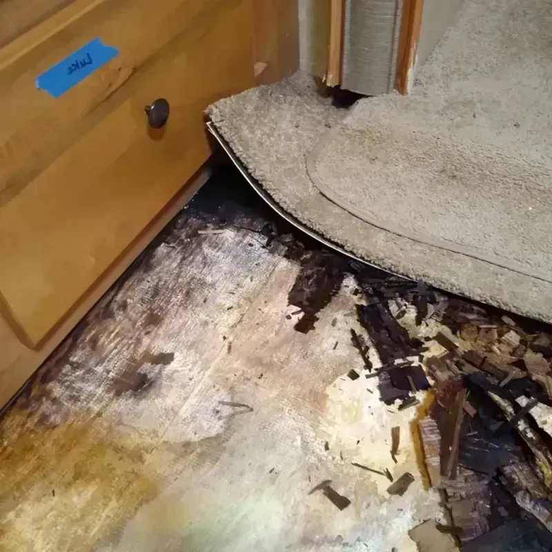 Wood Floor Water Damage in Summerfield, NC